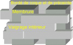 Coque
